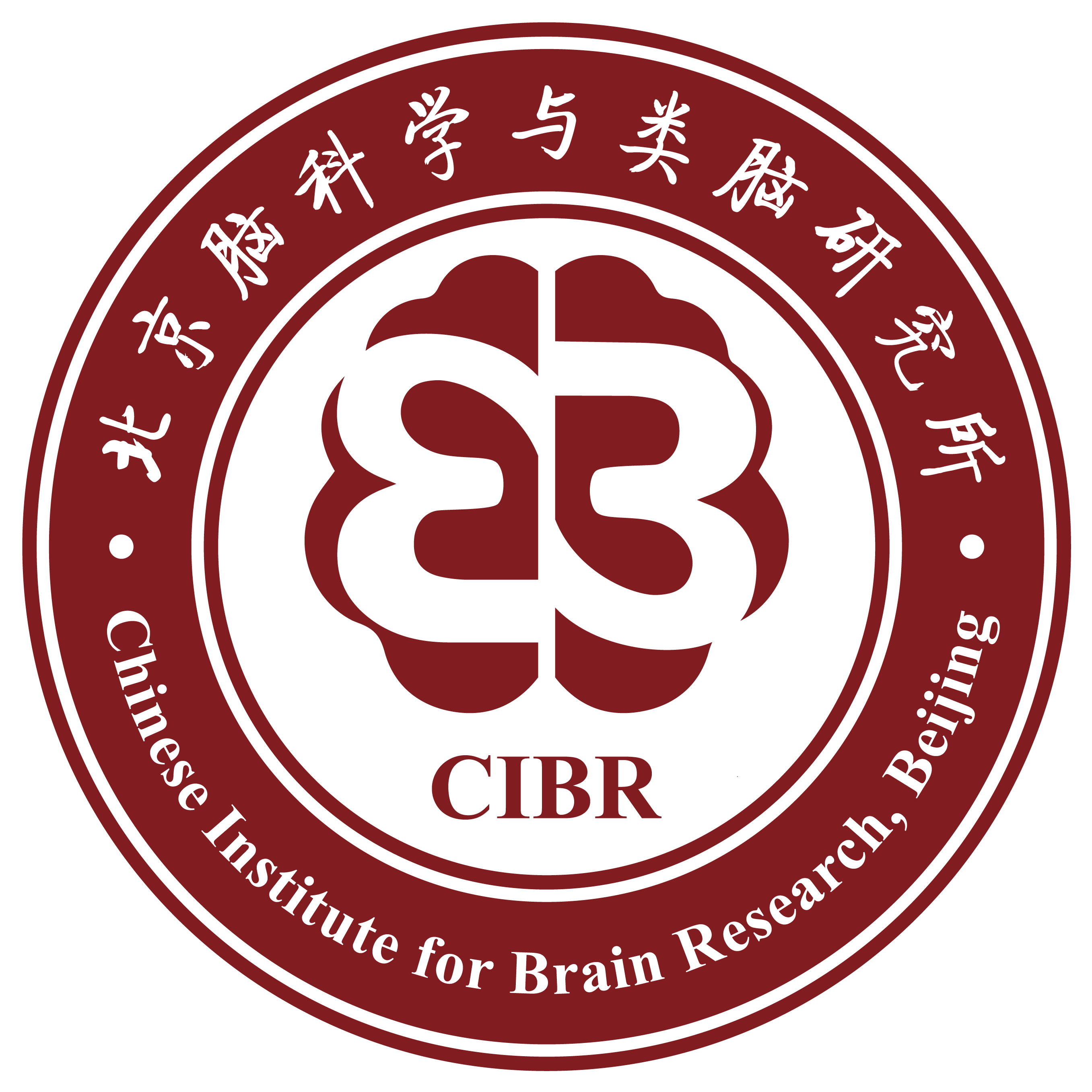 Chinese Institute for Brain Research logo